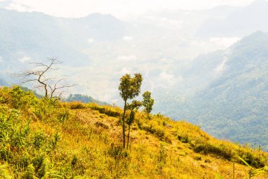 Chiangrai Eyaleti, Tayland Phu Chi Fa Manzara Noktası.