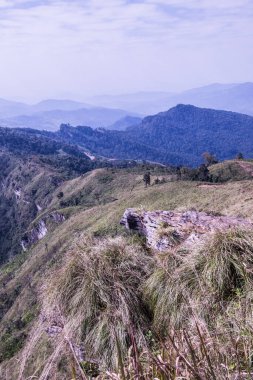 Tayland 'ın Chiangrai eyaletindeki Phu Chi Fa Manzarası' nda Dağ Manzarası.