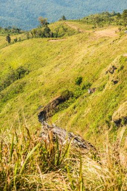 Tayland 'ın Chiangrai eyaletindeki Phu Chi Fa Manzarası' nda Dağ Manzarası.
