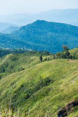 Tayland 'ın Chiangrai eyaletindeki Phu Chi Fa Manzarası' nda Dağ Manzarası.