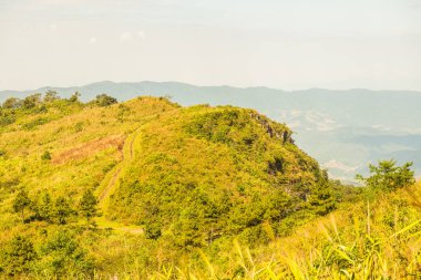 Tayland 'ın Chiangrai eyaletindeki Phu Chi Fa Manzarası' nda Dağ Manzarası.