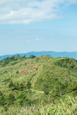 Tayland 'ın Chiangrai eyaletindeki Phu Chi Fa Manzarası' nda Dağ Manzarası.