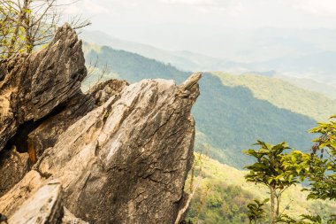 Chiangrai, Tayland 'da Doi Pha Tang' da Manzara Noktası.