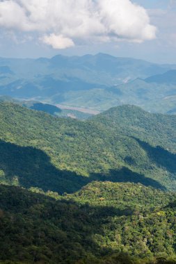 Tayland 'ın Chiangrai eyaletindeki Doi Pha Tang' da Dağ Manzarası.