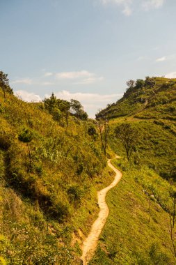 Tayland 'ın Chiangrai eyaletindeki Doi Pha Tang' da Dağ Manzarası.