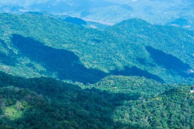 Tayland 'ın Chiangrai eyaletindeki Doi Pha Tang' da Dağ Manzarası.