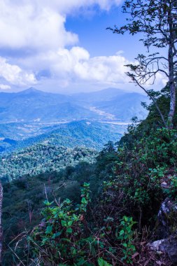 Tayland 'ın Chiangrai eyaletindeki Doi Pha Tang' da Dağ Manzarası.