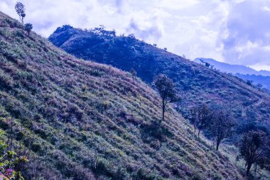 Tayland 'ın Chiangrai eyaletindeki Doi Pha Tang' da Dağ Manzarası.