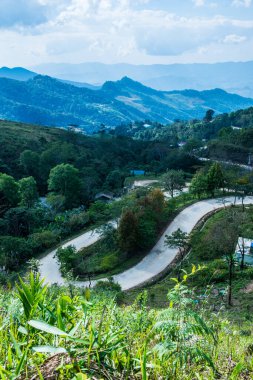 Tayland 'ın Chiangrai eyaletindeki Doi Pha Tang' da Dağ Manzarası.