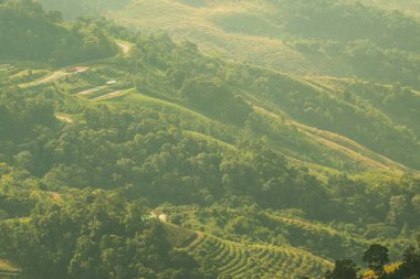 Tayland 'ın Chiangrai eyaletindeki Doi Pha Tang' da Dağ Manzarası.