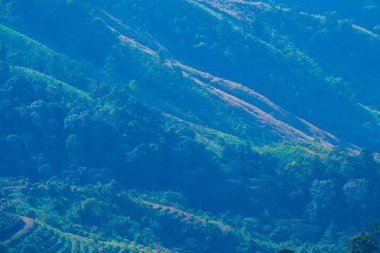 Tayland 'ın Chiangrai eyaletindeki Doi Pha Tang' da Dağ Manzarası.