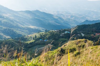 Tayland 'ın Chiangrai eyaletindeki Doi Pha Tang' da Dağ Manzarası.