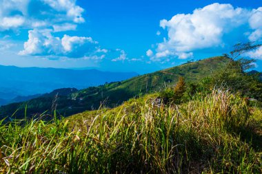 Tayland 'ın Chiangrai eyaletindeki Doi Pha Tang' da Dağ Manzarası.