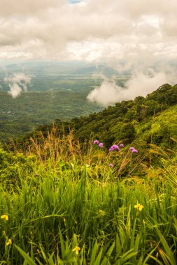 Mon Jam 'in Tayland' daki dağ manzarası.
