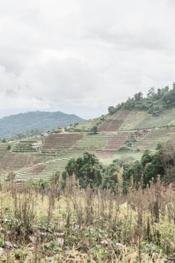 Mon Jam 'in Tayland' daki dağ manzarası.
