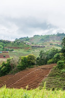 Mon Jam 'in Tayland' daki dağ manzarası.