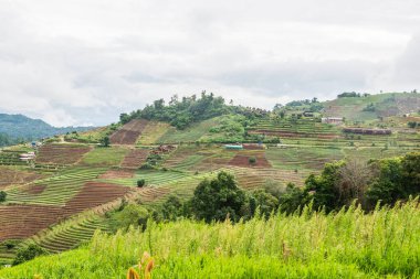 Mon Jam 'in Tayland' daki dağ manzarası.