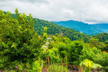 Mon Jam 'in Tayland' daki dağ manzarası.