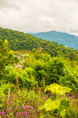 Mon Jam 'in Tayland' daki dağ manzarası.