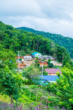 Mon Cham, Tayland 'daki dağdaki köy..