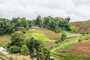 Mon Jam 'in Tayland' daki dağ manzarası.