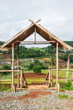 Mon Jam 'in Tayland' daki dağ manzarası.