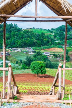 Mon Jam 'in Tayland' daki dağ manzarası.