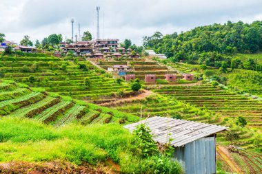 Mon Cham, Tayland 'daki dağdaki köy..
