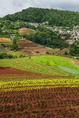 Mon Cham, Tayland 'daki dağdaki köy..