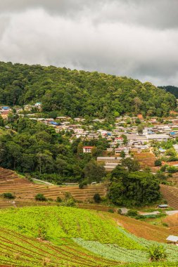 Mon Cham, Tayland 'daki dağdaki köy..