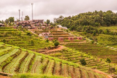 Mon Cham, Tayland 'daki dağdaki köy..