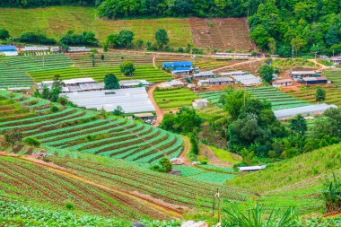 Mon Cham, Tayland 'daki dağdaki köy..