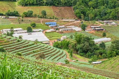 Mon Cham, Tayland 'daki dağdaki köy..