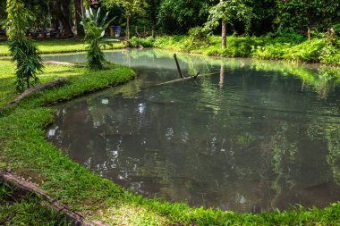 Buatong 'daki su birikintisi ve Tayland' daki Jedsee çeşme parkı..