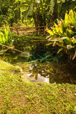 Jedsee Çeşmesi, Tayland.