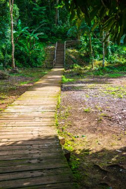 Jedsee Çeşme Parkı 'nda yürü, Tayland.