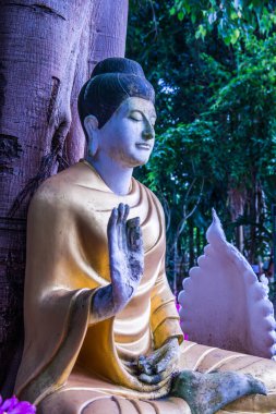 Darabhirom Ormanı Manastırı, Tayland 'daki Buda Staue..