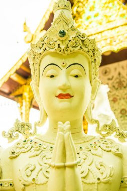 Tayland 'ın Chiangmai eyaletindeki Darabhirom Ormanı Manastırı' nda güzel bir kalıp sanatı..