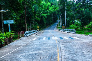 Tayland 'daki dağda küçük bir yol.