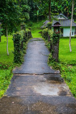 Tayland 'da küçük bir köprü..