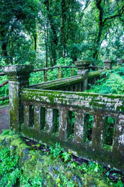 Doi Inthanon Ulusal Parkı, Tayland 'da eski beton çitler..