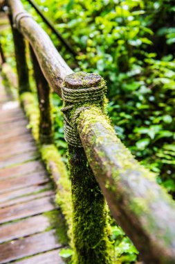 Doi Inthanon Ulusal Parkı 'ndaki ahşap korkuluklar, Tayland.