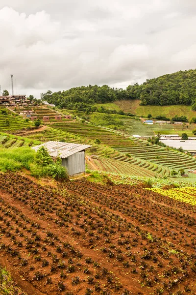 Village Mountain Vid Mon Cham Thailand — Stockfoto