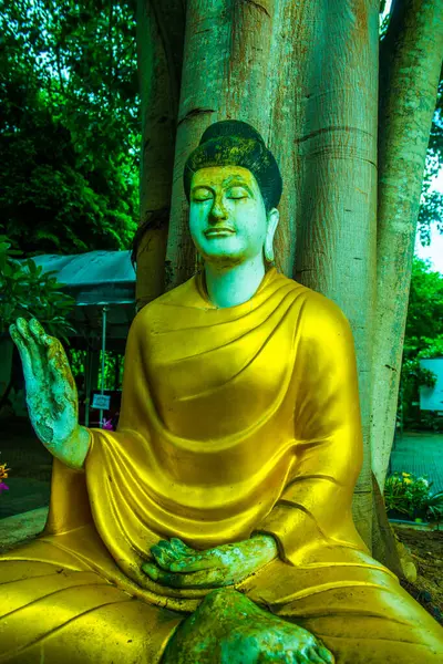 Patung Buddha Biara Hutan Darabhirom Thailand — Stok Foto