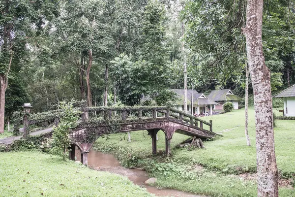 Small bridge in forest, Thailand.