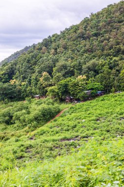 Mae Kuang Udom Thara barajının dağ manzarası, Tayland.