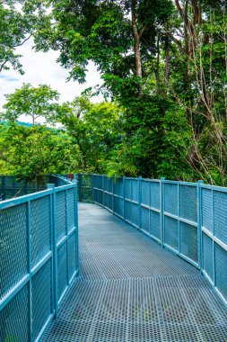 Tayland 'ın Chiangmai şehrindeki paraşüt yolu..