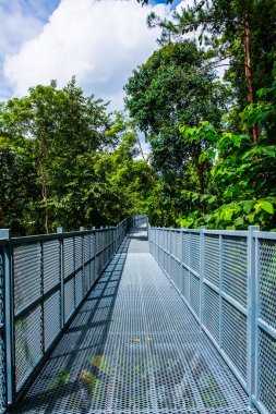 Tayland 'ın Chiangmai şehrindeki paraşüt yolu..