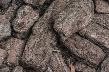 Tayland 'da kurutulmuş ot stoku..