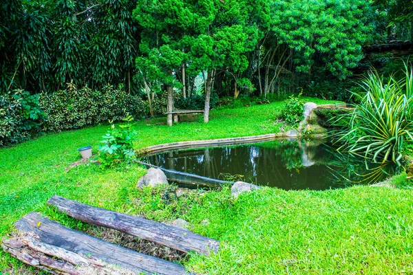 Small Pond Park Thailand — Stock Photo, Image